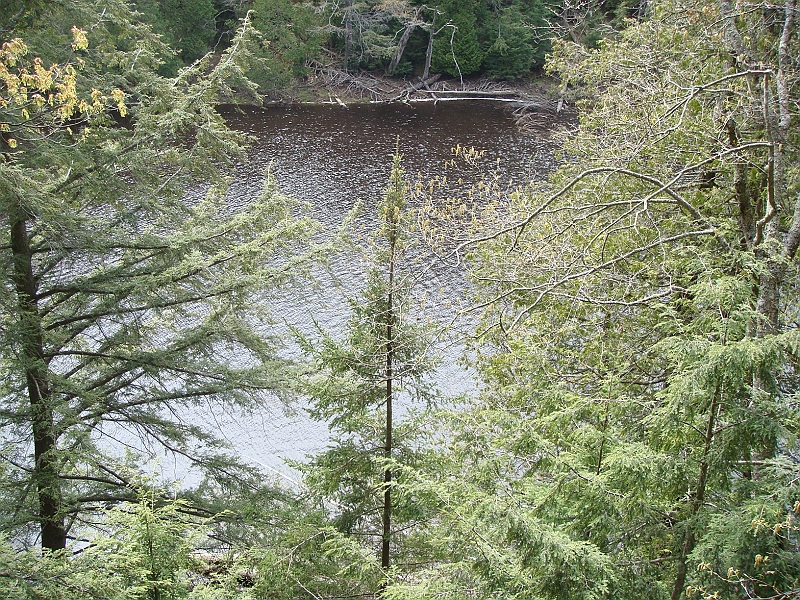 306 Memorial Day [2008 May 23].JPG - Scenes from Tahquanemon Falls in the Michigan Upper Peninsula.